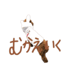もこもこなもこちゃんのスタンプ（個別スタンプ：14）