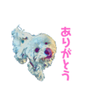 27.ここ（個別スタンプ：3）