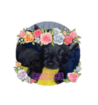 甲斐犬のネロ（個別スタンプ：4）