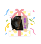 甲斐犬のネロ（個別スタンプ：16）