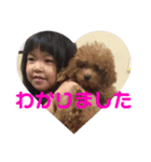 こはちゃんすたんぷ❤︎（個別スタンプ：5）