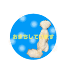 犬のくまくんvol.2（個別スタンプ：1）