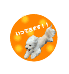犬のくまくんvol.2（個別スタンプ：2）