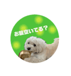 犬のくまくんvol.2（個別スタンプ：4）