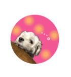 犬のくまくんvol.2（個別スタンプ：8）