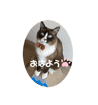 うみとそら。癒しのスタンプ①（個別スタンプ：1）