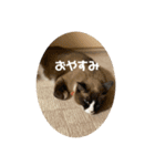 うみとそら。癒しのスタンプ①（個別スタンプ：2）