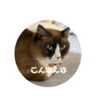 うみとそら。癒しのスタンプ①（個別スタンプ：4）