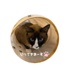 うみとそら。癒しのスタンプ①（個別スタンプ：6）