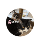 うみとそら。癒しのスタンプ①（個別スタンプ：8）