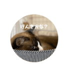 うみとそら。癒しのスタンプ①（個別スタンプ：9）