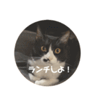 うみとそら。癒しのスタンプ①（個別スタンプ：12）