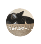うみとそら。癒しのスタンプ①（個別スタンプ：15）