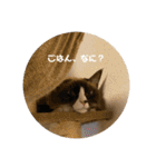 うみとそら。癒しのスタンプ①（個別スタンプ：20）