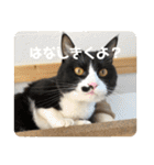うみとそら。癒しのスタンプ①（個別スタンプ：21）