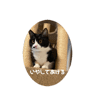 うみとそら。癒しのスタンプ①（個別スタンプ：23）