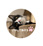 うみとそら。癒しのスタンプ①（個別スタンプ：24）