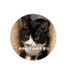 うみとそら。癒しのスタンプ①（個別スタンプ：29）