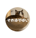 うみとそら。癒しのスタンプ①（個別スタンプ：30）