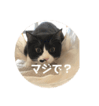 うみとそら。癒しのスタンプ①（個別スタンプ：36）