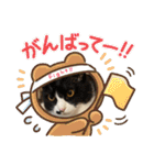 うみとそら。癒しのスタンプ①（個別スタンプ：38）