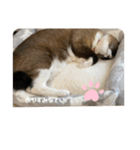 うみとそら。癒しのスタンプ②（個別スタンプ：2）