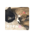 うみとそら。癒しのスタンプ②（個別スタンプ：3）