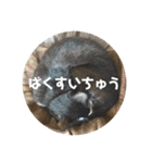 うみとそら。癒しのスタンプ②（個別スタンプ：5）