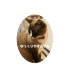 うみとそら。癒しのスタンプ②（個別スタンプ：6）
