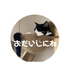 うみとそら。癒しのスタンプ②（個別スタンプ：7）