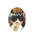 うみとそら。癒しのスタンプ②（個別スタンプ：9）