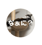うみとそら。癒しのスタンプ②（個別スタンプ：10）