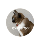 うみとそら。癒しのスタンプ②（個別スタンプ：11）