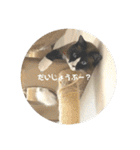 うみとそら。癒しのスタンプ②（個別スタンプ：14）