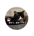 うみとそら。癒しのスタンプ②（個別スタンプ：16）
