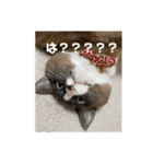 うみとそら。癒しのスタンプ②（個別スタンプ：18）