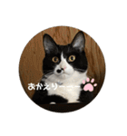 うみとそら。癒しのスタンプ②（個別スタンプ：22）