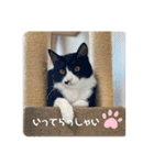 うみとそら。癒しのスタンプ②（個別スタンプ：23）