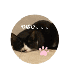 うみとそら。癒しのスタンプ②（個別スタンプ：25）