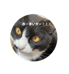 うみとそら。癒しのスタンプ②（個別スタンプ：28）