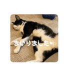 うみとそら。癒しのスタンプ②（個別スタンプ：34）