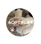 うみとそら。癒しのスタンプ②（個別スタンプ：35）