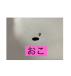 なまこさまのにちぢょう（個別スタンプ：7）