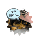 なちの本音（個別スタンプ：1）