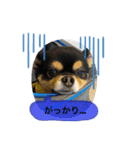 なちの本音（個別スタンプ：2）