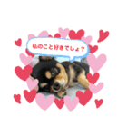 なちの本音（個別スタンプ：6）