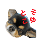 なちの本音（個別スタンプ：8）