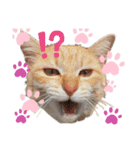 もふもふファンタジー改（個別スタンプ：3）