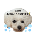博多娘のゆりちゃん（個別スタンプ：4）