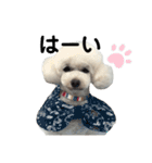 博多娘のゆりちゃん（個別スタンプ：10）